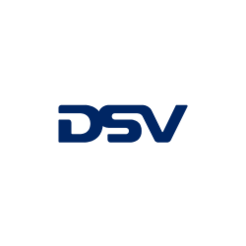 DSV Logo